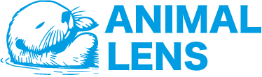 Animal Lens