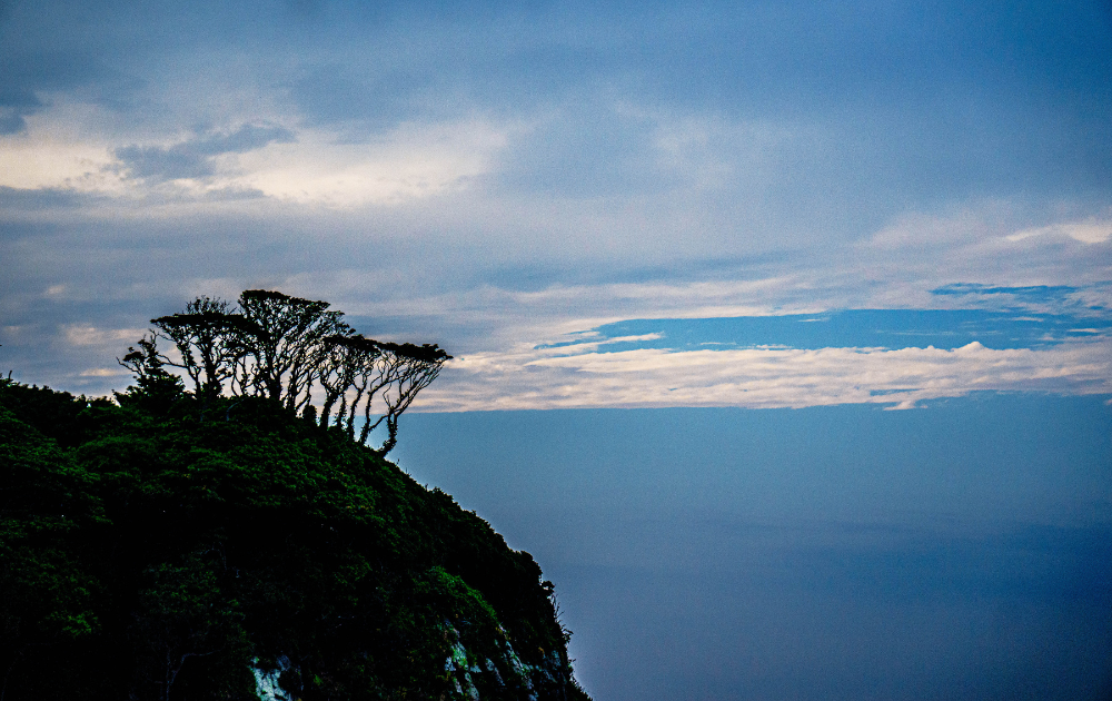 福井県　雄島